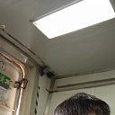 ���� ���������, ��������, 43 ���� - ��������� 22 ����� 2021