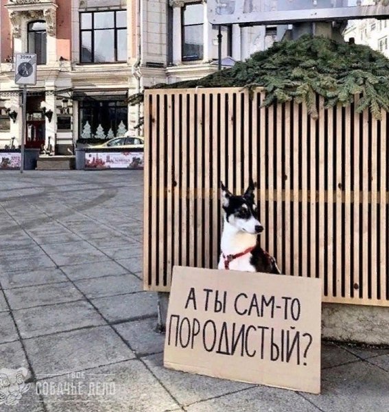 o  o o o:  o  y! - 3