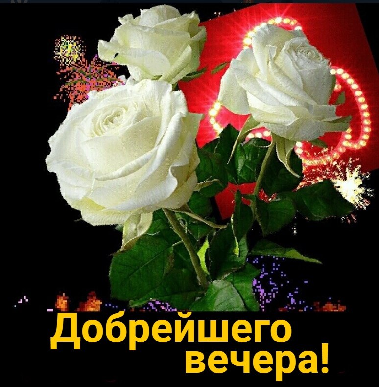   ,    . - 6  2020  12:15 - 5