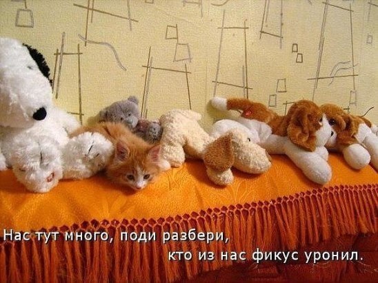    - 20  2020  11:41
