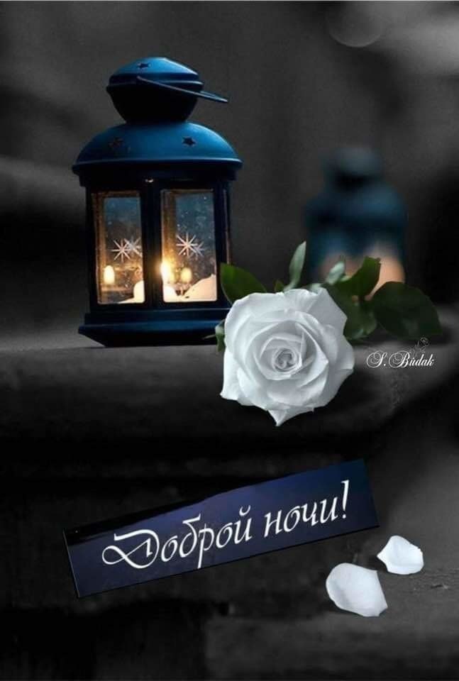 ПРИВЕТСТВИЯ и ПОЖЕЛАНИЯ, открытки на каждый день. - 23 октября 2020 в 22:41