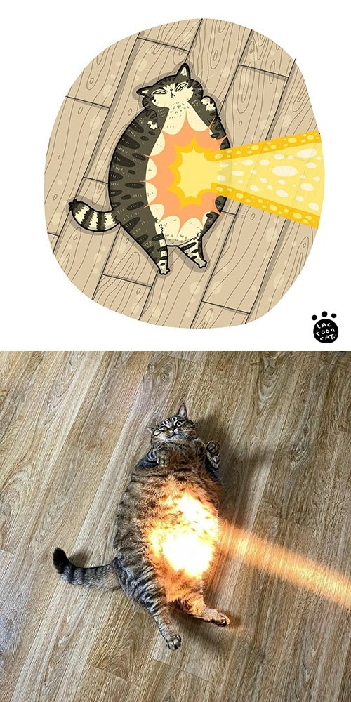       Tactooncat - 6
