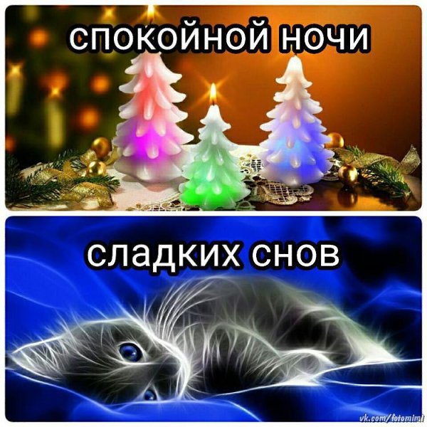   ,    . - 20  2020  22:33 - 8