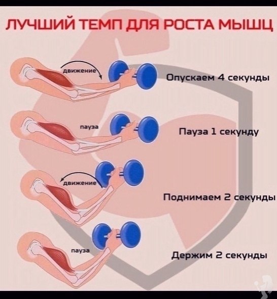 https://fotostrana.ru/away?to=/sl/HCd2ey  ope