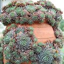 ���� ���, ������, 47 ��� - ��������� 9 ������� 2020 � ������ �������