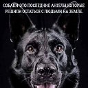  Iskander Muhaulovich,  -  4  2021    