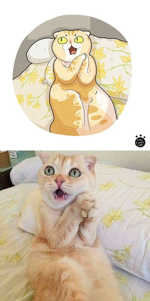       Tactooncat - 2