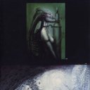  , , 60  -  1  2021    . . 