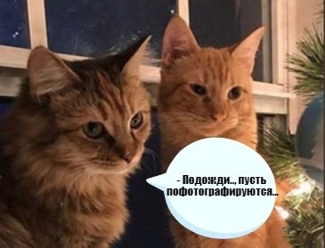 ��� ���� � ����� �� �� - 22 ������� 2020 � 14:10 - 2