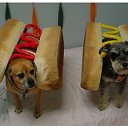 ���� ������, ������������ - ��������� 24 �������� 2020 � ������ ���� � ���