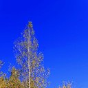 ���� ������, ������, 69 ��� - ��������� 16 ������� 2020 � ������ ���� ����������