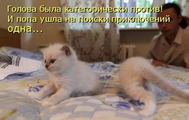    - 28  2020  22:34