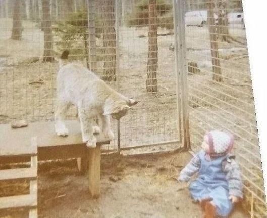 ���� � ������� �� ������ ������� �� ����, �� ��� ��������).������ - 8