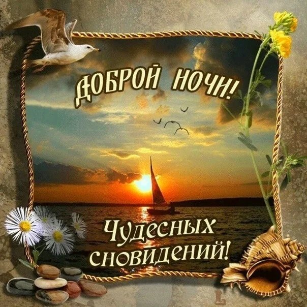   ,    . - 17  2020  20:56