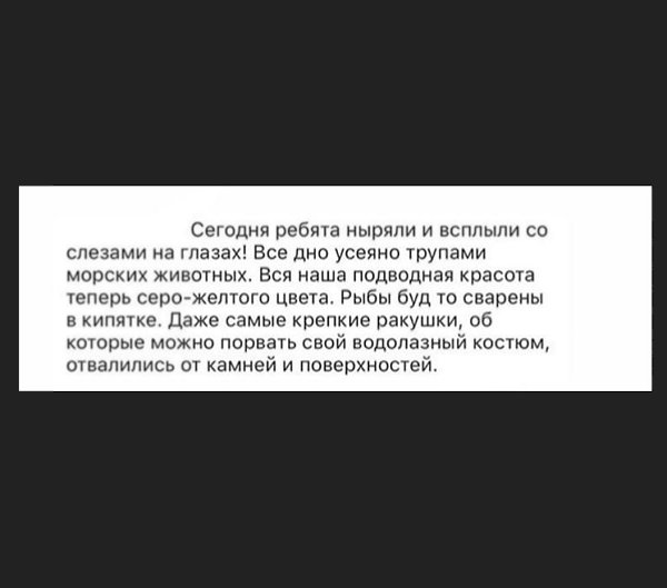 Какой кошмар, больно читать и смотреть на это....  - 6
