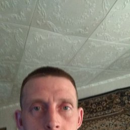 �������, ���������, 41 ���