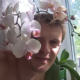 Oleg, , 43 