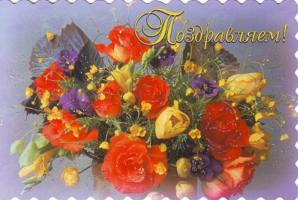   ,    . - 21  2021  20:33 - 8