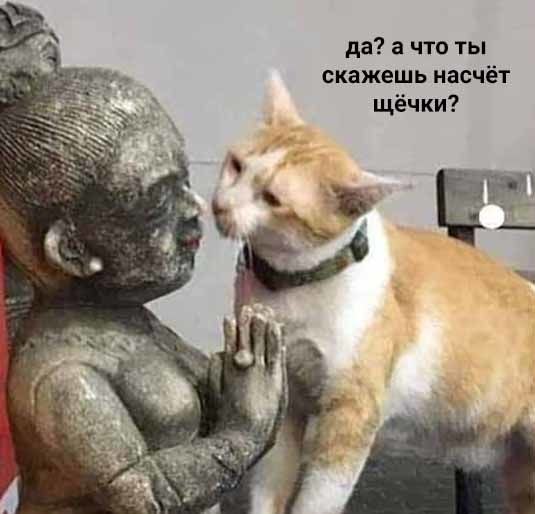   ,       - 3