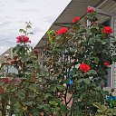 ���� ������, ����� - ��������� 4 ������� 2020 � ������ ������������