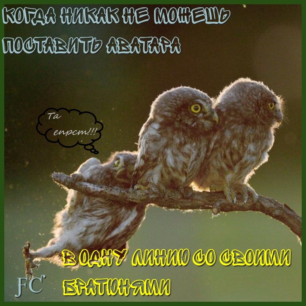 [ƑƇ] ƑƤƇŁŬƁ - 31  2020  01:16