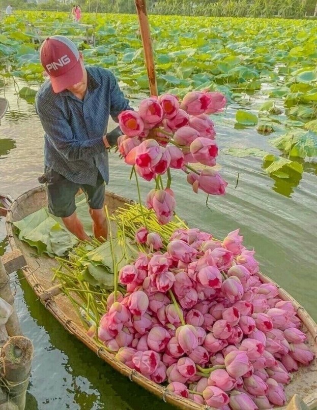 Ka�e�c� �����a��,�o �e�...�o�oc�.... ��e� ��� �����