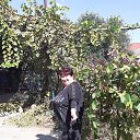 ���� ��������, ������-��-���� - ��������� 20 �������� 2020 � ������ ���� ����������