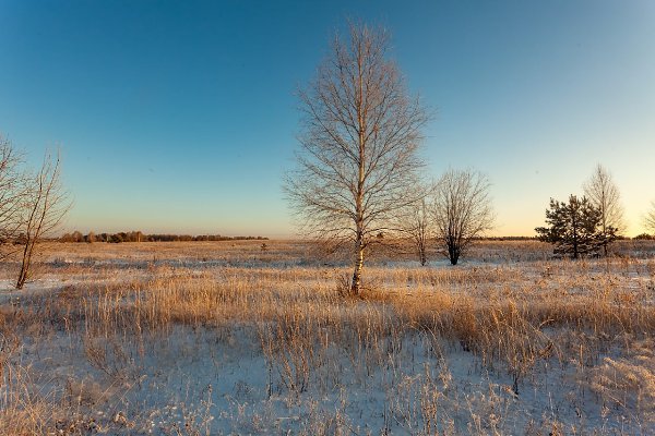 Кильмезь зимние пейзажи. Кильмезь зимнее фото. Кильмезь красота цветы. Огорельцевы Кировская зимой.