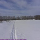  , , 71  -  24  2021    2021