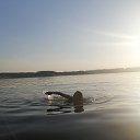 ���� �������, �����, 39 ��� - ��������� 13 ����� 2021 � ������ ���� ����������