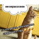 ���� �����, ������, 37 ��� - ��������� 27 ������� 2020