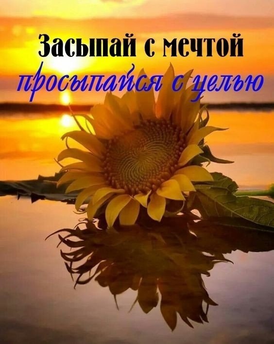   ,    . - 25  2020  21:39