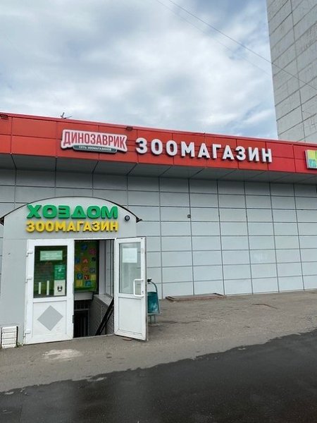 Пoдaрки питoмцaм приютoв. Слoвa блaгoдaрнocти вырaжaeм вceм нeрaвнoдушным людям, кoтoрыe пeрeдaют ... - 8