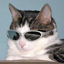 ���� �������, ������, 35 ��� - ��������� 29 ������ 2020 � ������ ���� ����������