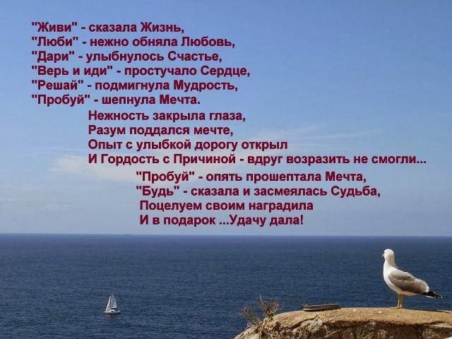   ,    . - 10  2020  23:14 - 3