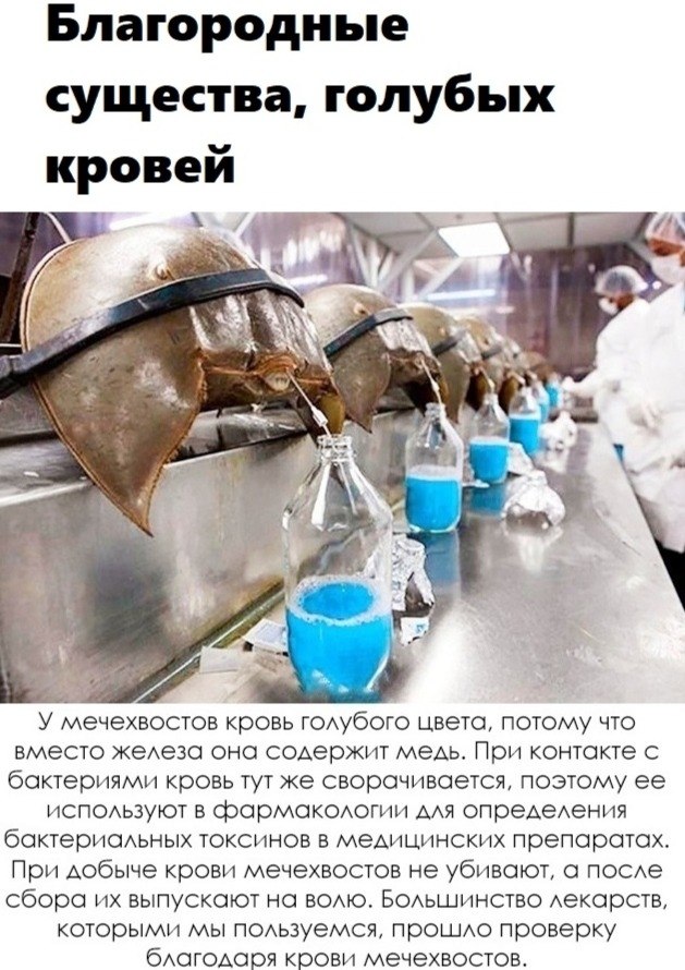 BEST | , ,  - 6  2020  19:07