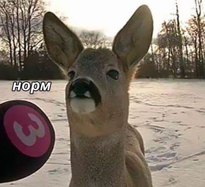 ,  , -  : - 5