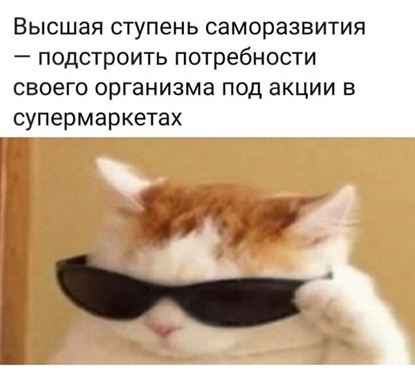  | ,  - 7  2020  19:06