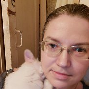 �����, 40 ���, ������������