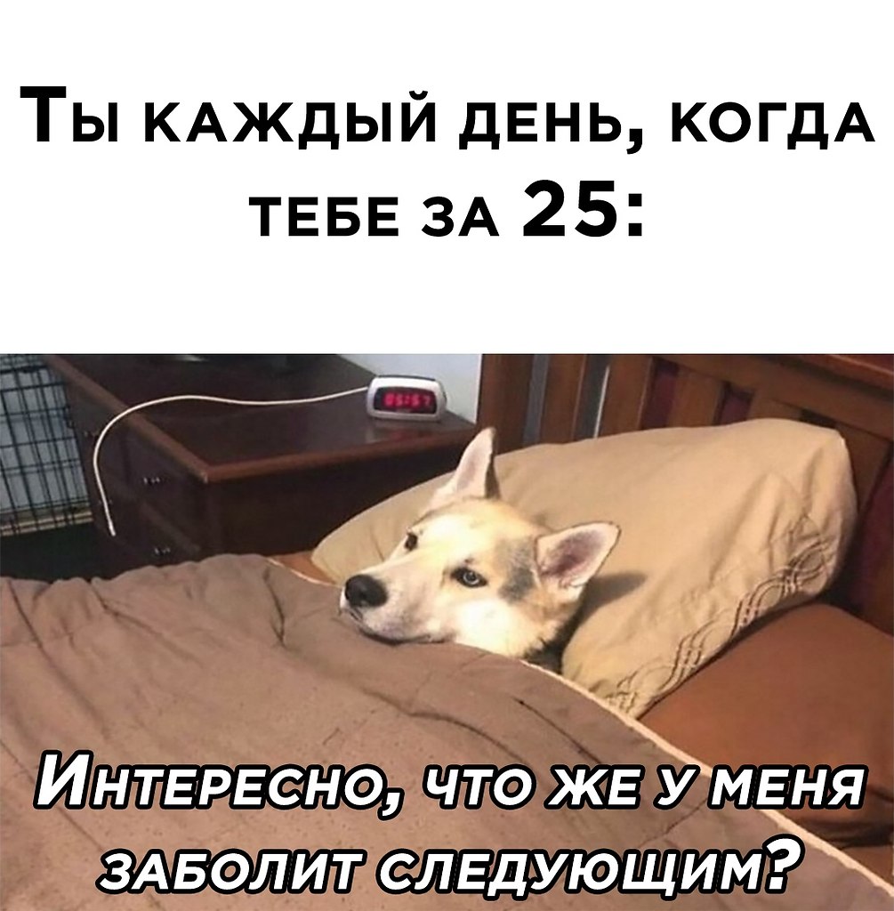    ר! - 20  2020  15:18