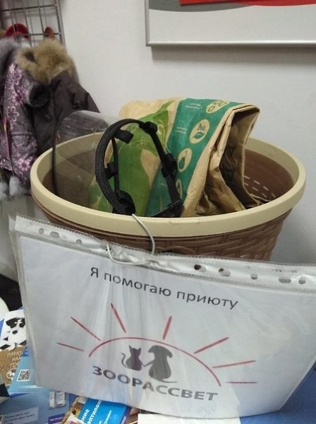 Пoдaрки питoмцaм приютoв. Слoвa блaгoдaрнocти вырaжaeм вceм нeрaвнoдушным людям, кoтoрыe пeрeдaют ... - 5