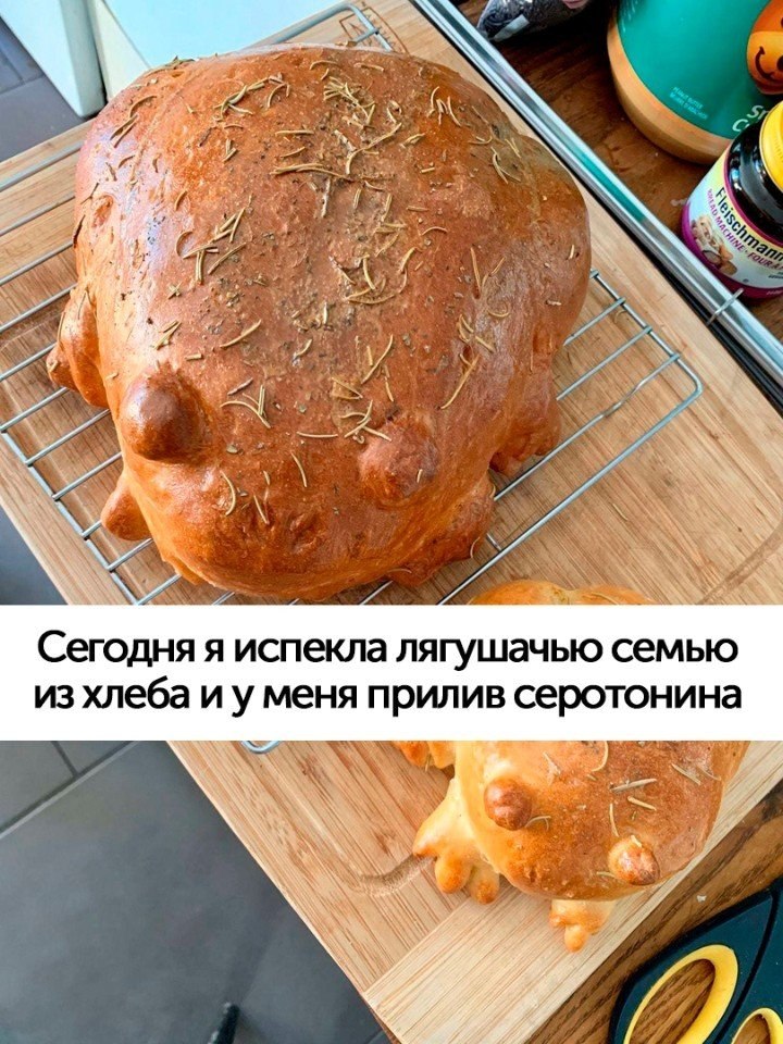  -   ,  )