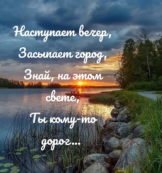  ,    . - 6  2020  20:41