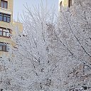 ���� ������, ������, 45 ��� - ��������� 8 ������� 2020 � ������ ���� ����������