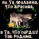  , -, 55  -  20  2020    