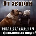 ���� �����, �������, 47 ��� - ��������� 29 ������ 2020 � ������ ���� ����������