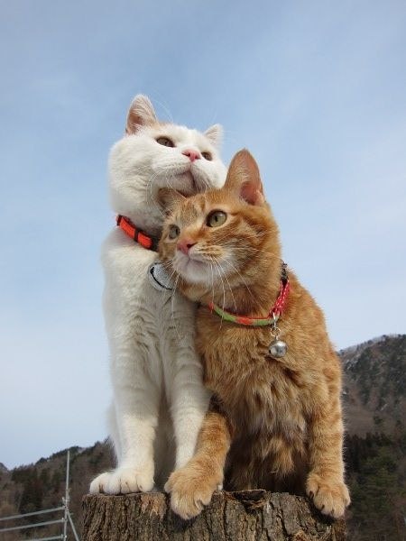  Love story - 4