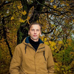 ���� �������, ����� - ��������� 2 ������ 2020