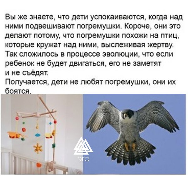 вот один ошеломительный факт вам перед сном...