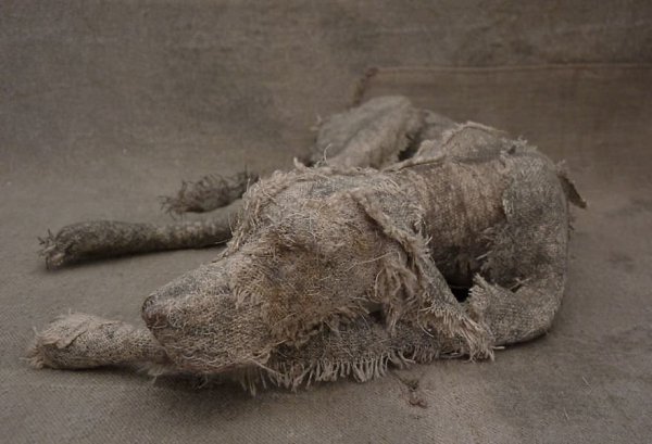 coa  eo o Hln hompson.kk - 10